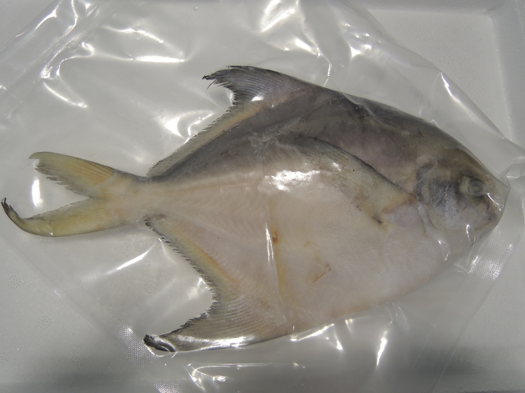 Sun Wah Food Express